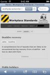 Screen_Shot_Workplace_Standards_mobile_website.jpg